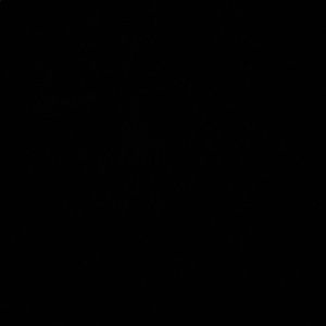 Meet your Posher, Lory